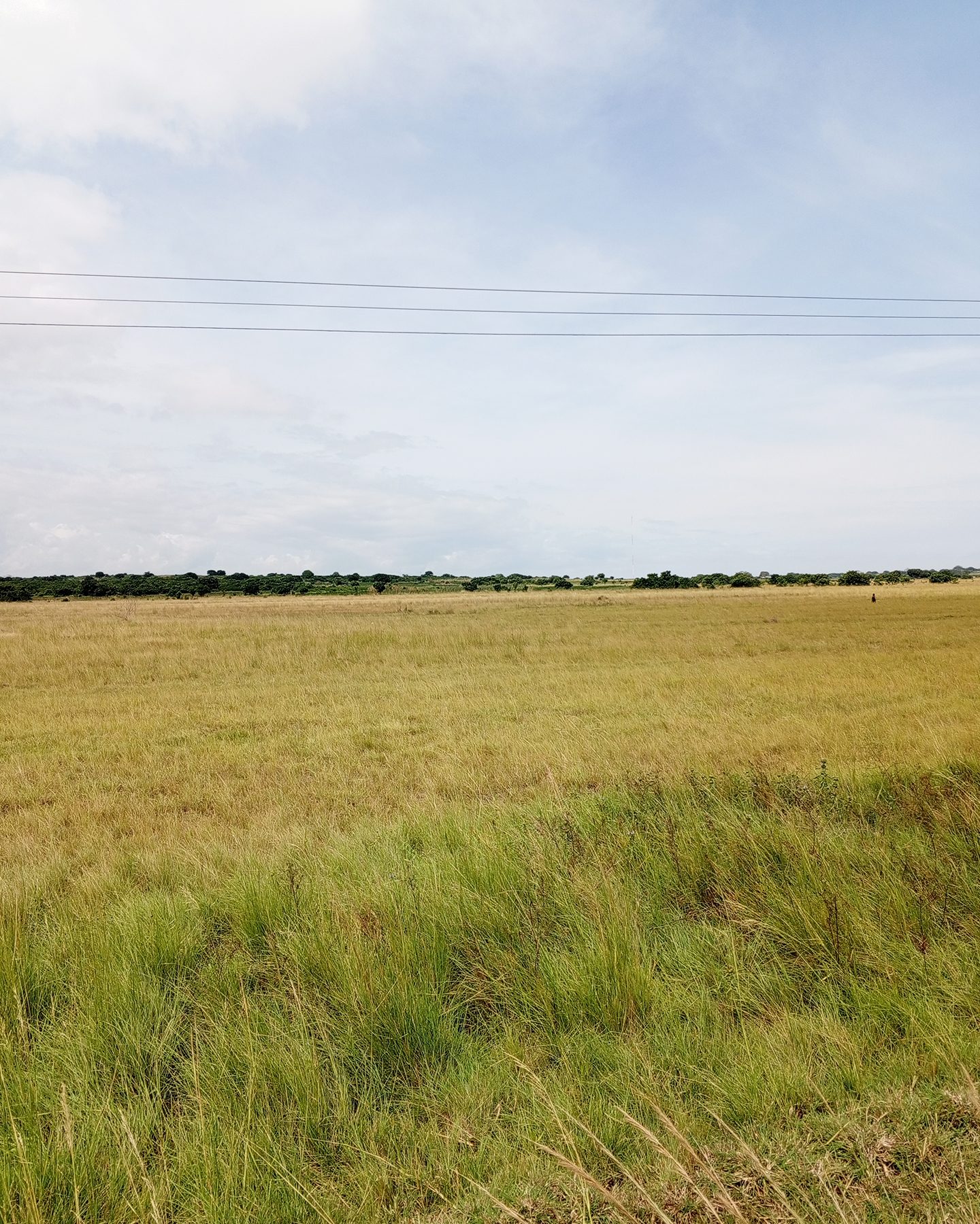 land options 2