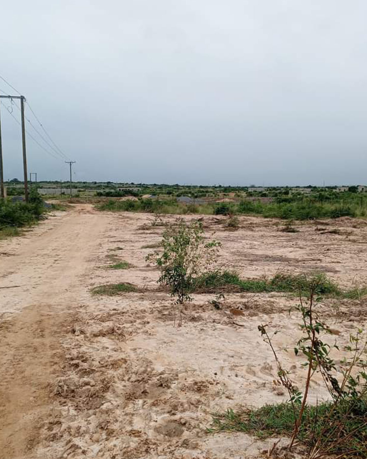land options 3